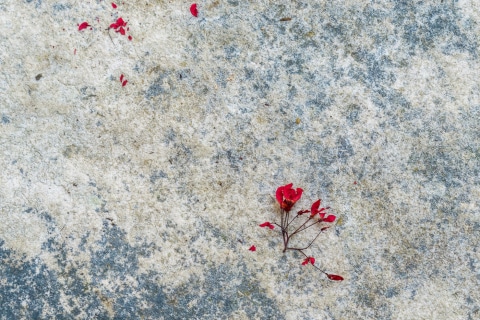 Red Granite
