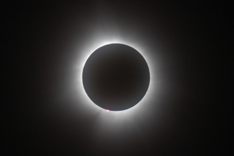 Corona