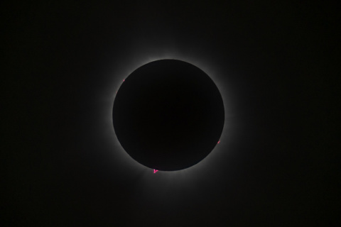Solar Flares