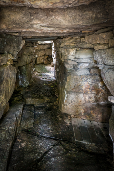 Oracle Chamber