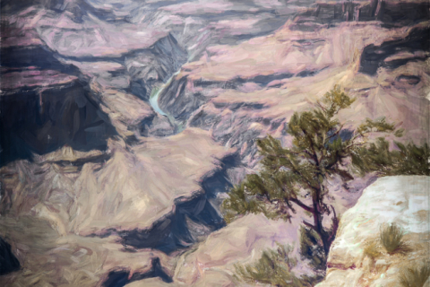 Arizona