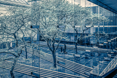 Blue - Atrium