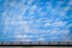 Blue - Tarentum