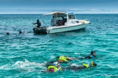 Isla Pinchon (2017) DSC04230