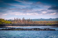 Isla Pinchon (2017) DSC04260