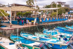 Puerto Ayora (2017) DSC04503