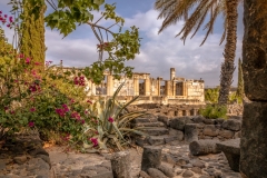 Capernaum (SA706901)