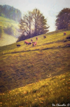 Switzerland (1978)