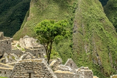 Perú - Machu Picchu (2010)