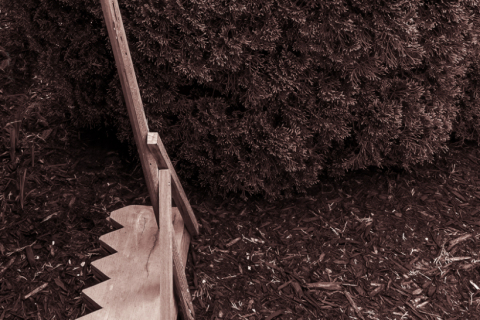 Rake