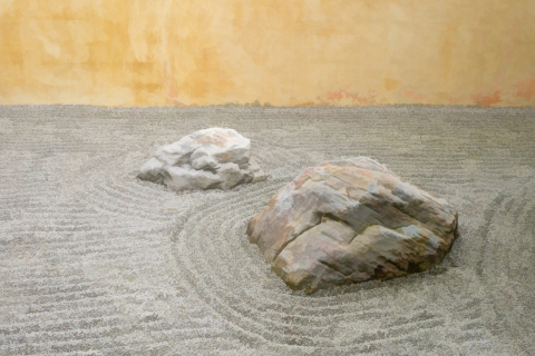 Dry Garden