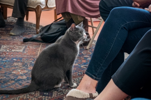 The Art and Inspiration International Salon (2019-L190)