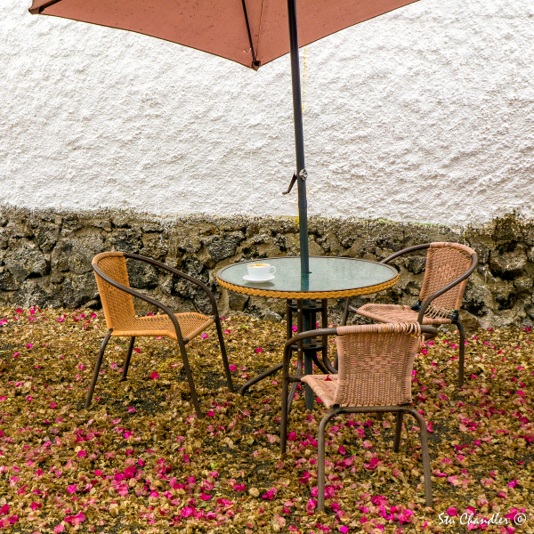 Ecuador - Puerto Ayora (2017)