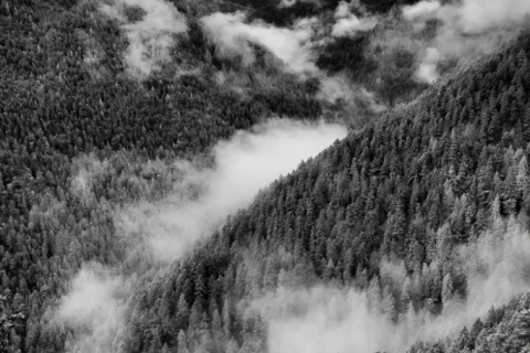 Olympic Range (2025-WA-1557)