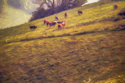 1978-06-Switzerland-©SCP-1999