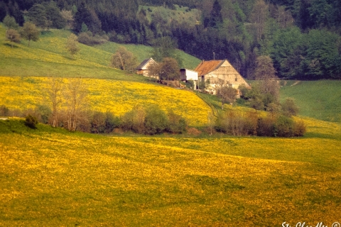 1978-06-Switzerland-©SCP-823