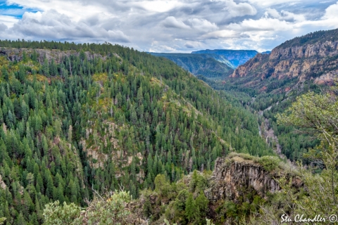 Sedona (2018) SA705086