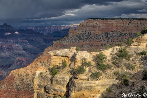 Grand Canyon (2018) SA705114
