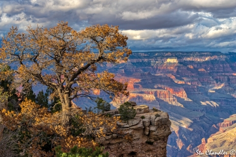 Grand Canyon (2018) SA705124