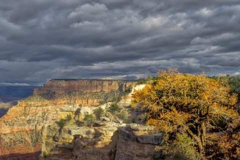 Grand Canyon (2018) SA705130
