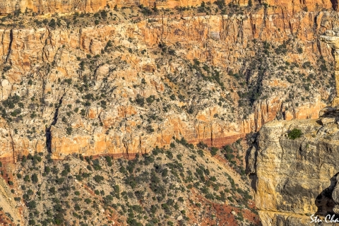 Grand Canyon (2018) SA705140