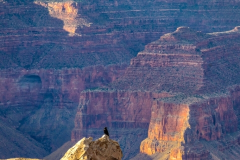 Grand Canyon (2018) SA705148