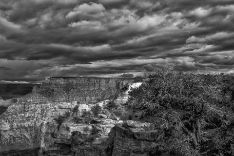 Grand Canyon (2018) SA7