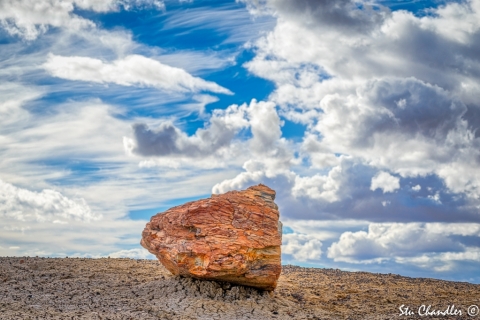 Petrified Forest (2018)