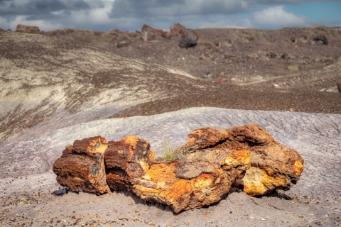 Petrified Forest (2018)