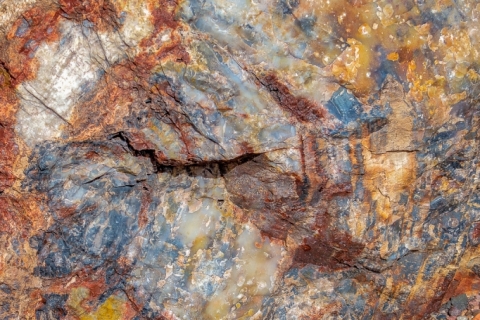 Petrified Forest (2018)