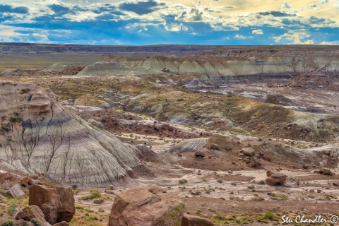 Painted Desert (2018)
