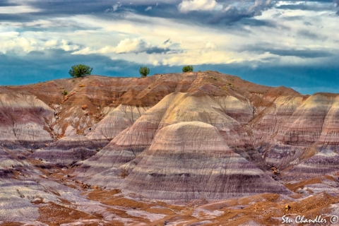 Painted Desert (2018)