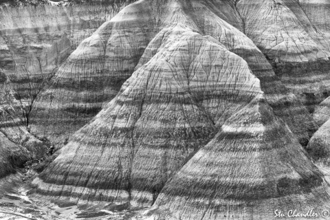 Painted Desert (2018)