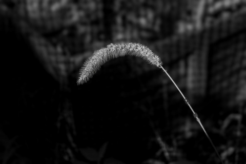 A7F0585-Enhanced-NR-E